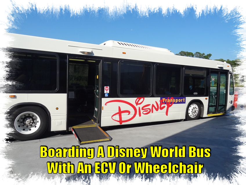 Boarding A Disney World Bus With An ECV Or Wheelchair