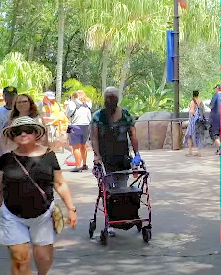 A Guest Using A Rollator At Disney's Animal Kingdom